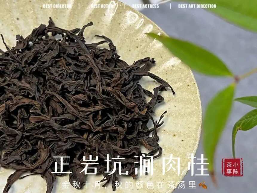 半年、1年、3年、10年，喝茶多少年，才能喝得惯岩茶？