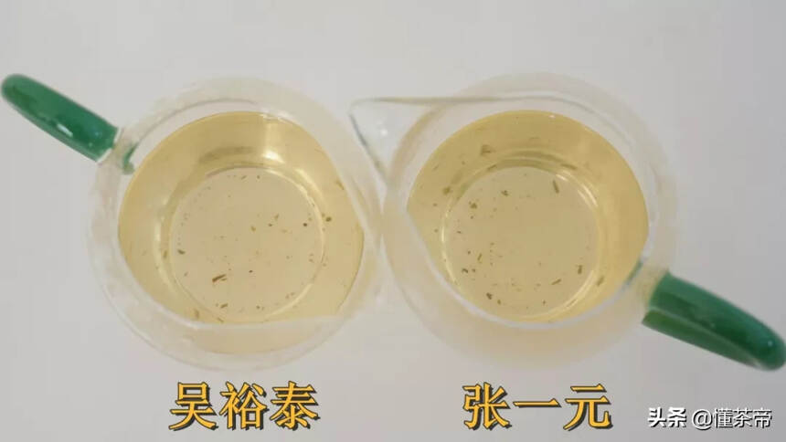 茉莉龙珠哪个牌子好（张一元吴裕泰茉莉龙珠评测）