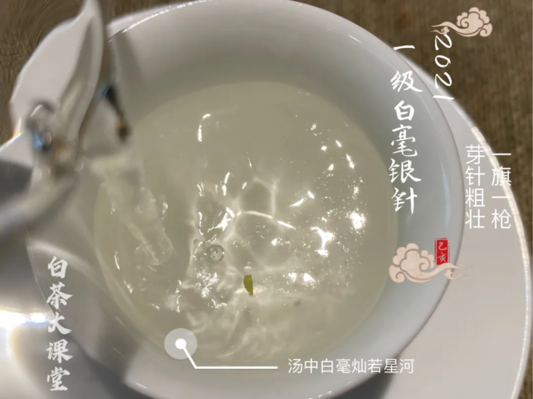 白茶属于什么茶（白茶和绿茶有什么区别）