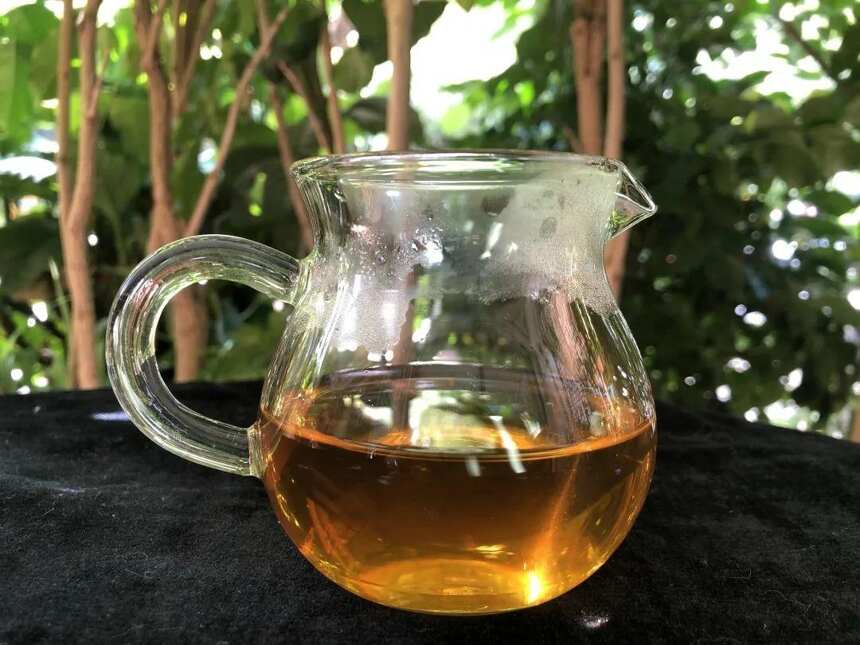 老徐谈茶302期：本味普洱茶——影响普洱茶滋味的六个因素（下）