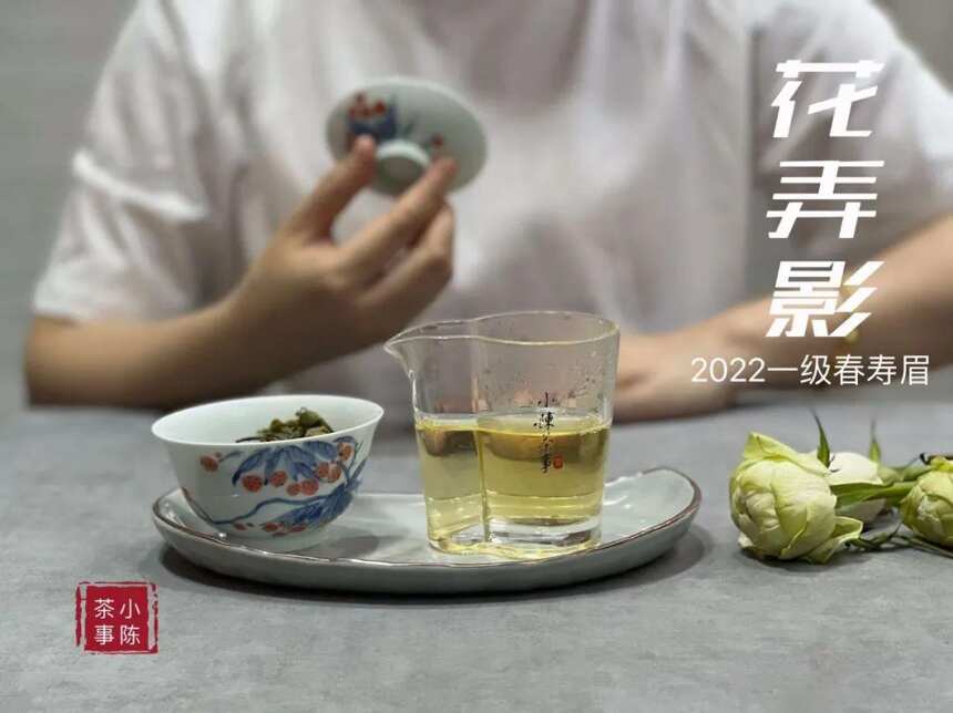 散茶和饼茶，哪个更有利于白茶的转化？新手存茶要注意什么？