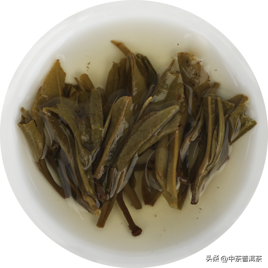 中茶新品 | 2022中茶茗山 忙肺 普洱茶（生茶）紧压茶