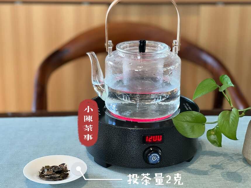 煮岩茶、煮红茶、煮白茶，煮茶干货一次性公开，轻松过个冬