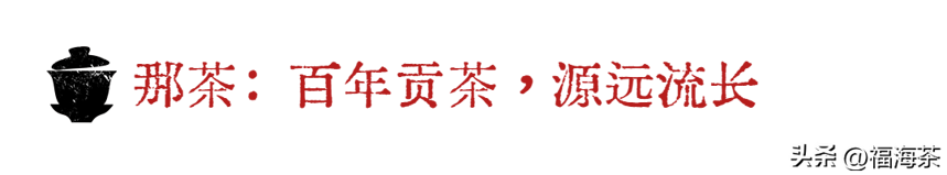 福海讲堂：那卡、那山、那茶