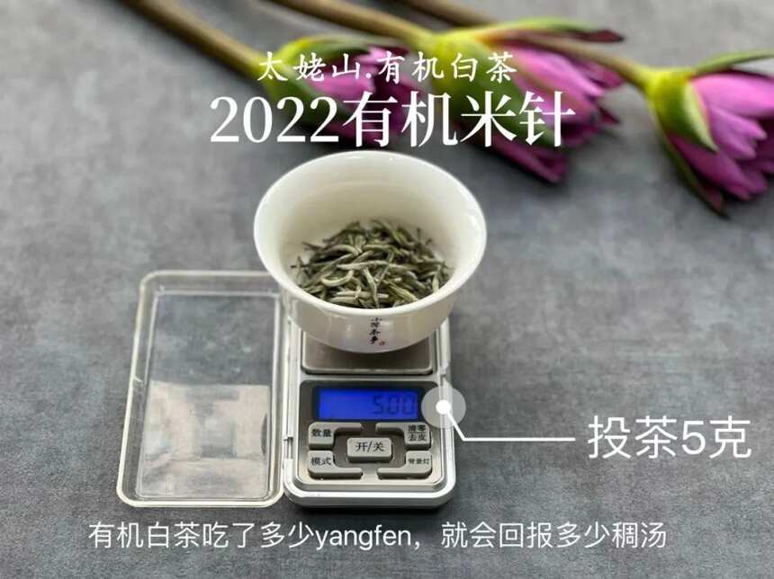 茶友来信，为什么有机米针贵过头采米针，甚至贵过去年的米针呢？