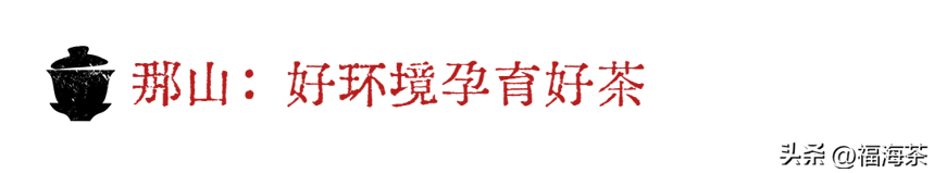 福海讲堂：那卡、那山、那茶