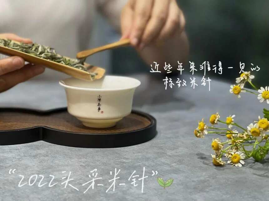 茶友来信，为什么有机米针贵过头采米针，甚至贵过去年的米针呢？