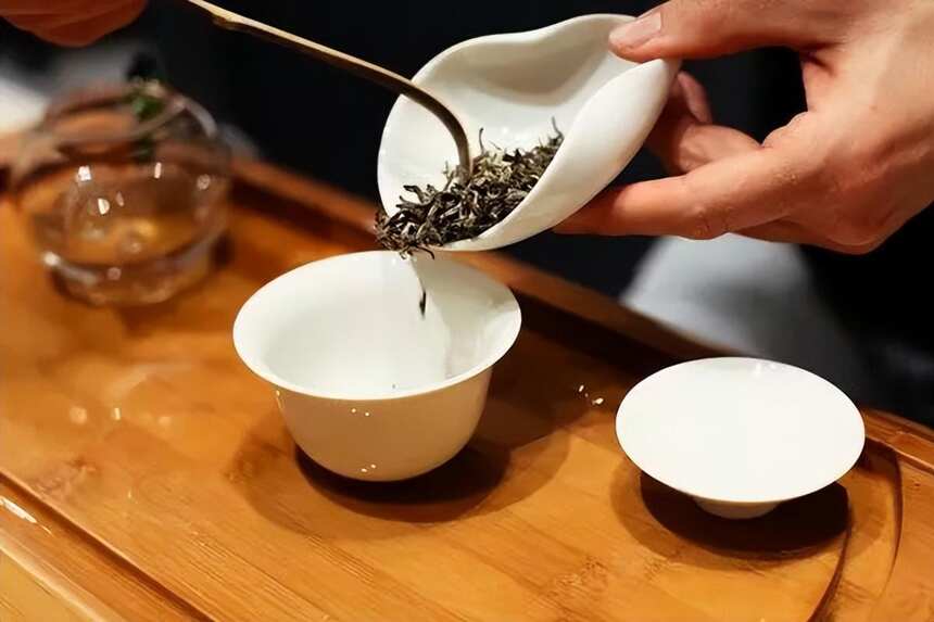 文圣茶说丨德国 Paper&Tea 茶叶店