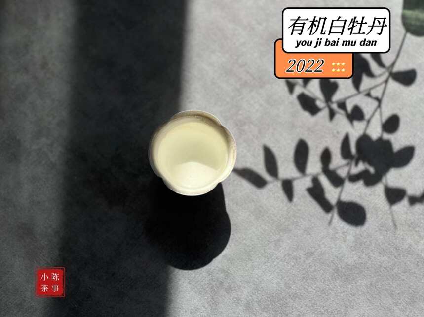 白茶新手买白牡丹，选散茶还是饼茶？新茶还是老茶？一次性说清楚