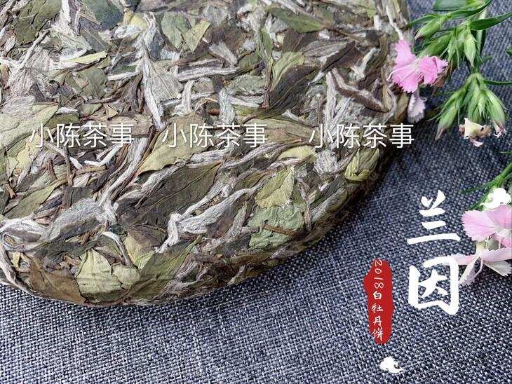 白茶新手买白牡丹，选散茶还是饼茶？新茶还是老茶？一次性说清楚