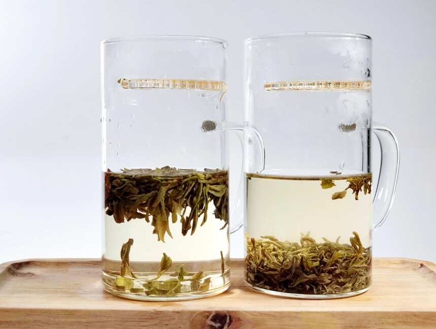 江南两大名茶的碰撞，浙江龙井茶与江苏阳羡雪芽对冲评测，没悬念