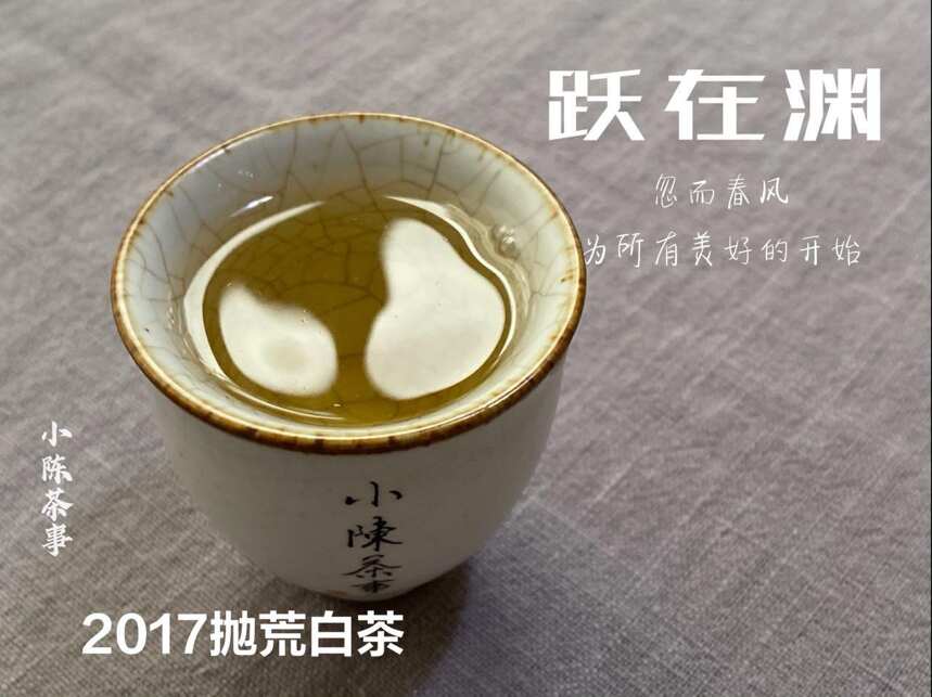 买白茶，你是看品牌？还是看品种？新手怎么买到货真价实的好茶？