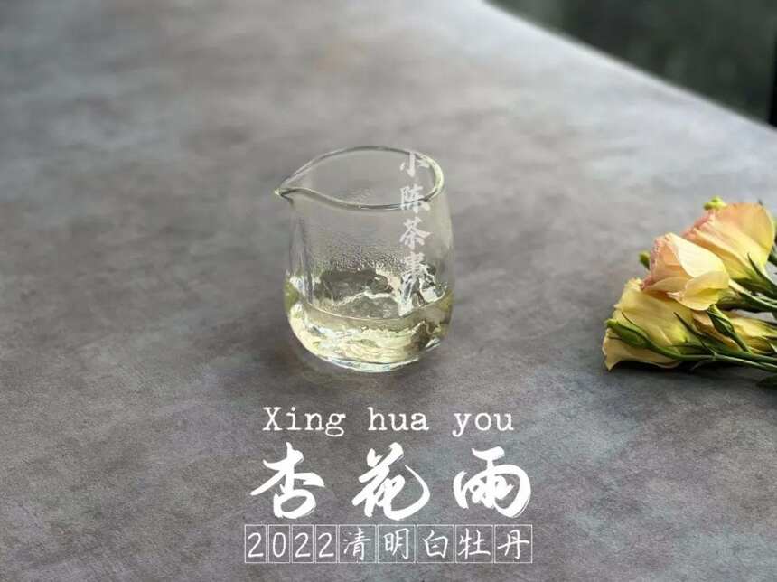 口粮茶只要挑便宜的，价格越低越划算？难怪你一直喝不懂白茶