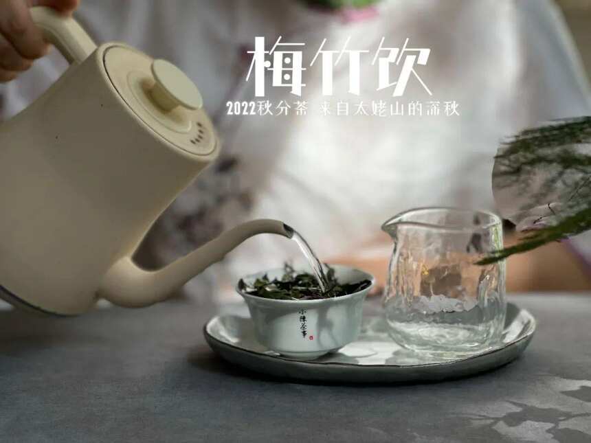 口粮茶只要挑便宜的，价格越低越划算？难怪你一直喝不懂白茶