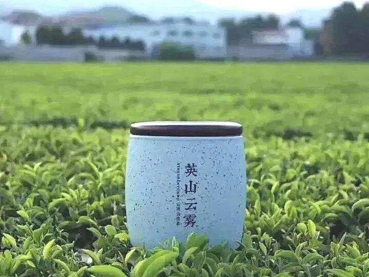 湖北首个国家级地标产品示范区，和茶有关