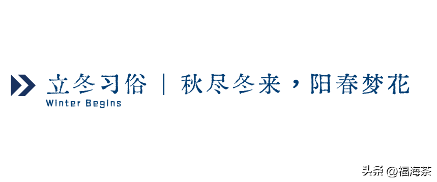 二十四节气·立冬茶会 | 岁月悠长，慢火煮茶