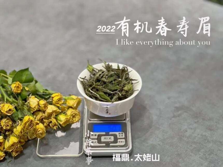 口粮茶只要挑便宜的，价格越低越划算？难怪你一直喝不懂白茶