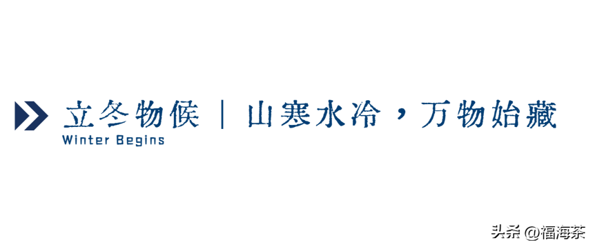 二十四节气·立冬茶会 | 岁月悠长，慢火煮茶