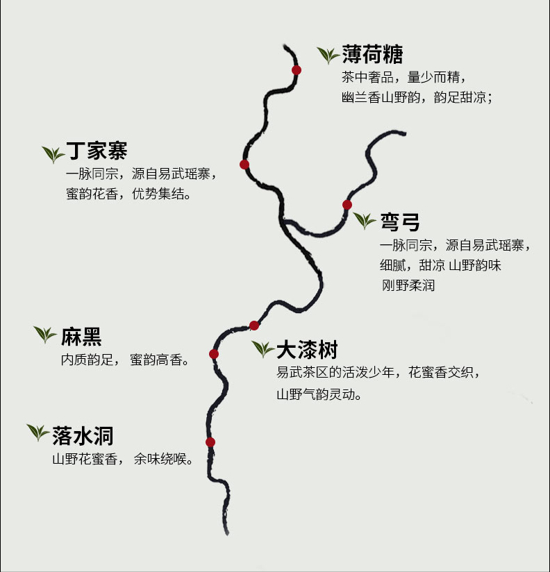 易武六山古熟：一次喝遍落水洞、弯弓、薄荷塘等六大名山熟茶