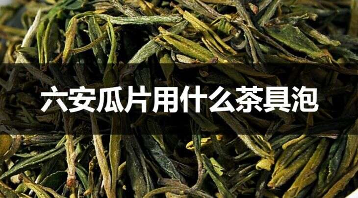 六安瓜片用什么茶具泡？