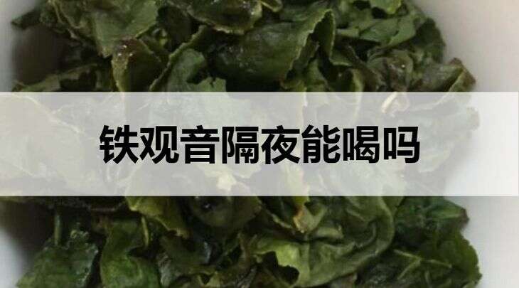 铁观音隔夜能喝吗？