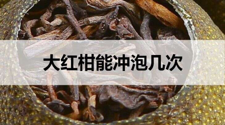 大红柑普洱茶能够冲泡几次？