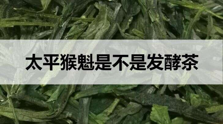 太平猴魁是不是发酵茶？