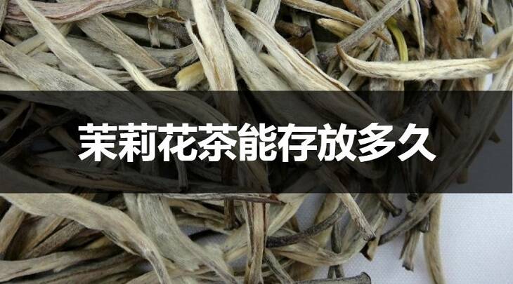 茉莉花茶能存放多久？