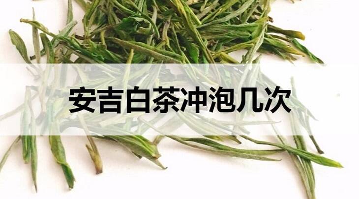 安吉白茶可以冲泡几次？