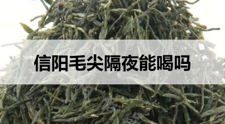 信阳毛尖隔夜可以喝吗？