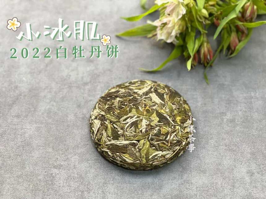 10个喝茶新手，8个会踩坑！你买的白茶，真的正宗吗？