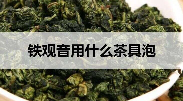 铁观音用什么茶具泡？