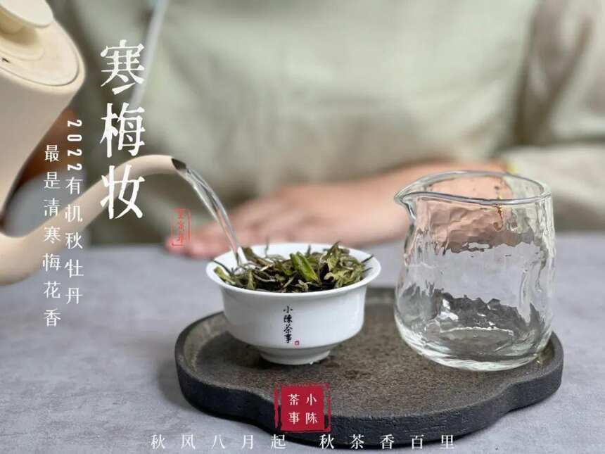 找了很久，发现4个“泡白茶坏习惯”，难怪你的白牡丹没有花香