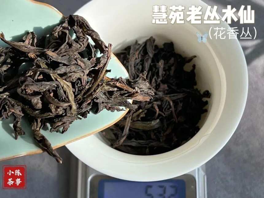 刚买到手的武夷岩茶水仙，为什么会这么香？李麻花忍不住说了实话