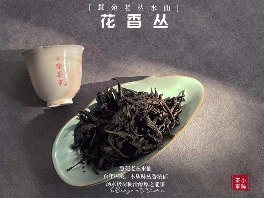 泡白茶、岩茶、红茶，都要定点旋冲？掌握这个方法，越泡越好喝？