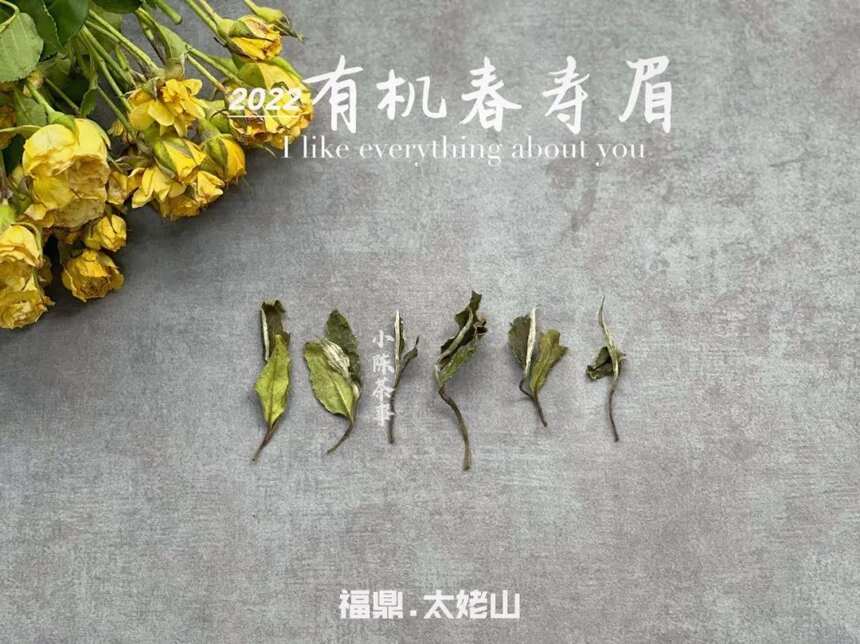 新白茶像绿茶，老白茶像红茶，按这么说，白茶到底属于什么茶类？