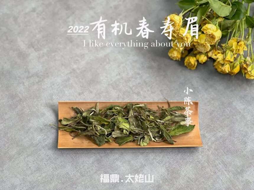 新白茶像绿茶，老白茶像红茶，按这么说，白茶到底属于什么茶类？