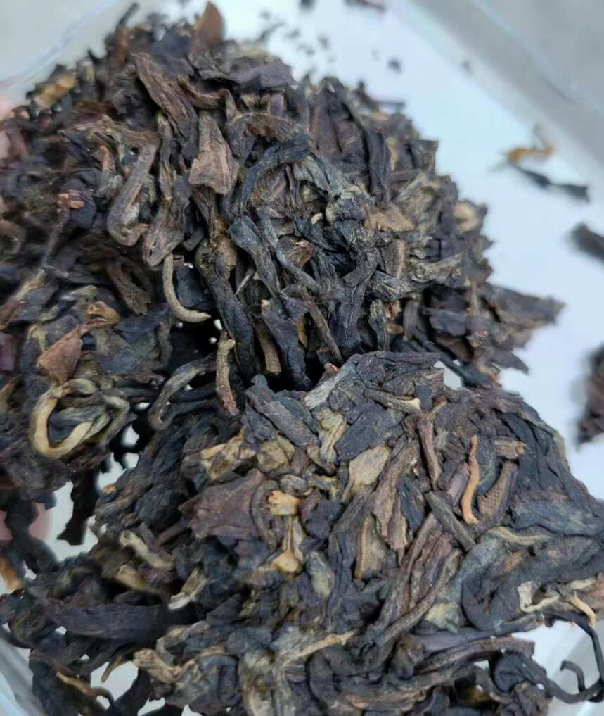 一片茶 一个人 透过杯中茶叶看人生