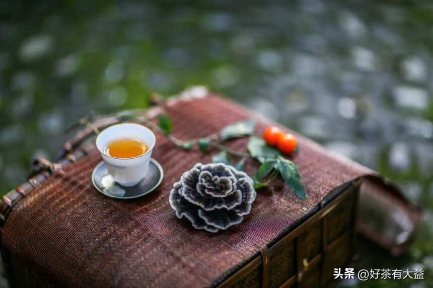 大益茶文化解读专题篇｜大益茶的核心价值（四）年份价值