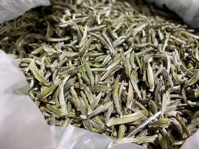 新白茶冲泡的三大误区，规避它，让你的白茶好喝百倍