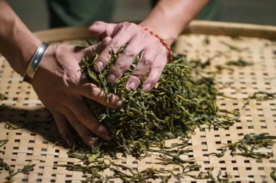 制作茶叶的过程