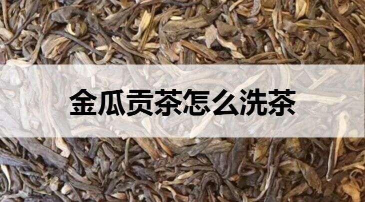 金瓜贡茶怎么洗茶？