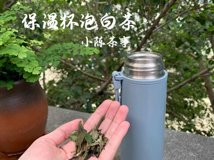 买时“真香”，用后“闹心”！保温杯和焖茶壶泡茶，藏着哪些坑？