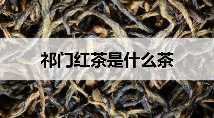 祁门红茶是什么茶？