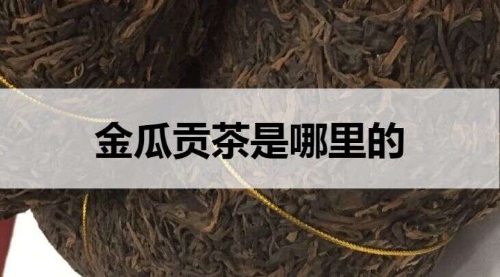 金瓜贡茶是哪里的