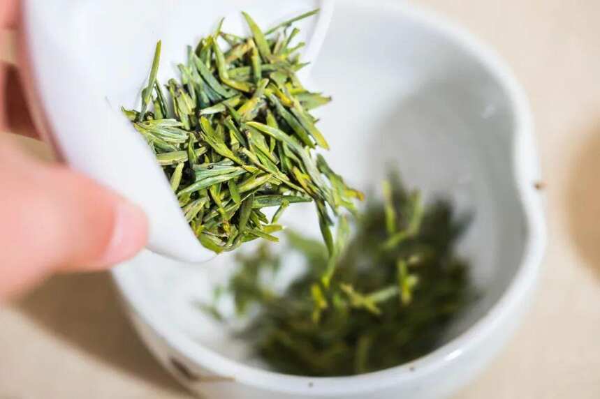 5个品茶动作让你秒变茶艺师