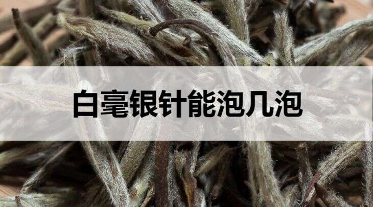 白毫银针能泡几泡？