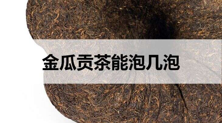 金瓜贡茶能泡几泡？