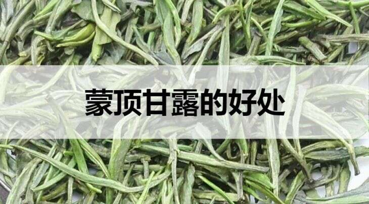 蒙顶甘露的好处有哪些？