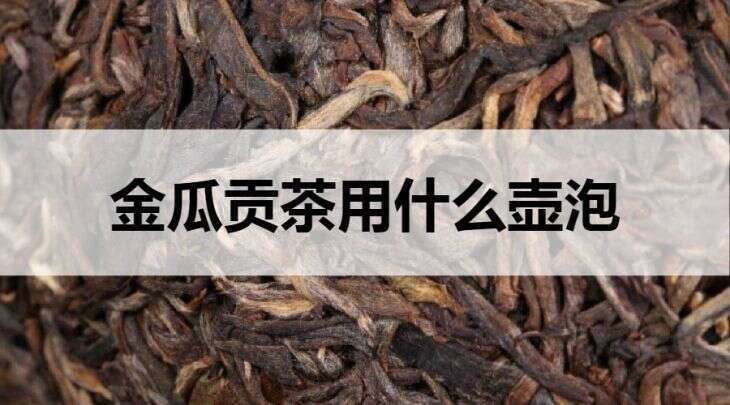 金瓜贡茶用什么壶泡？